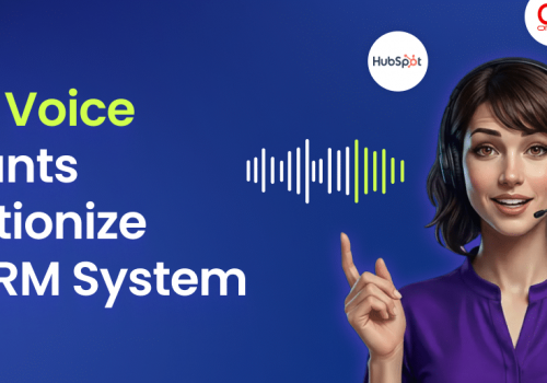 Era Voice AI Agent Commbox - CRM